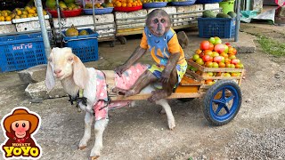 YoYo JR takes goats to harvest vegetables sell and help people around  Full version [upl. by Boland]