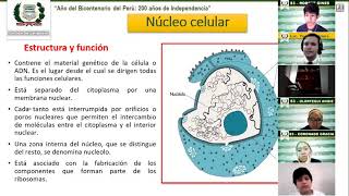 Clase de Organelos citoplasmáticos [upl. by Osmen]