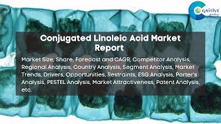 Conjugated Linoleic Acid Market Report 2024  Forecast Market Size Growth Trends [upl. by Codel]