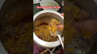 Shami kabab food ayeshafood recipe shortvideo cooking kheer biryanirecipe easyrecipe [upl. by Ebbarta]