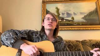 Tecumseh Valley  Townes Van Zandt Acoustic Cover [upl. by Hawthorn228]