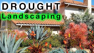 Drought TOLERANT Landscape Design [upl. by Airalav]