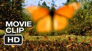 Disneynature Wings of Life Movie CLIP  Butterflies 2013  Meryl Streep Movie HD [upl. by Alaehs]