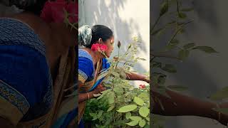 amma ❤️ trending telugu viralvideo [upl. by Proulx]