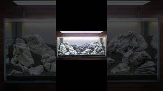 Set up hardscape iwagumi 120cm semudah itu 😁 [upl. by Dieter909]