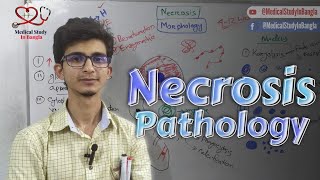 Necrosis pathology in bangla [upl. by Lune200]