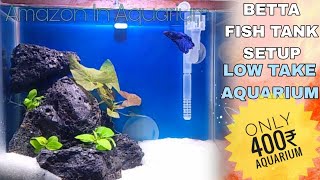 Betta Fish Tank Setup  Fighter Fish Tank Setup [upl. by Ylesara]