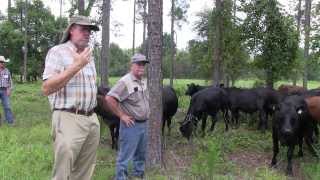 Sustainable Ranching Day 1 Part 6 [upl. by Annalee]