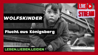 WOLFSKINDER I Flucht aus Königsberg 1946 I CHRISTIAN HARDINGHAUS [upl. by Boot]