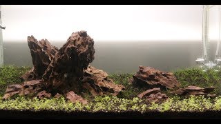 Iwagumi Aquascaping  Day 1 [upl. by Mannes211]