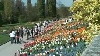 Blumeninsel Mainau [upl. by Notsnhoj171]