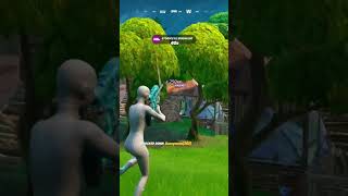 How were these snipes fortnite snipes [upl. by Corby]