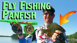 Fly Fishing Panfish  How to catch big bluegills on the Fly in Wisconsin  Tips amp Techniques [upl. by Rika]