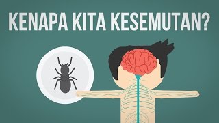 Kenapa Kita Mengalami Kesemutan [upl. by Alair]