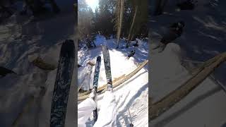 Save the snow Ski Fences [upl. by Oad]