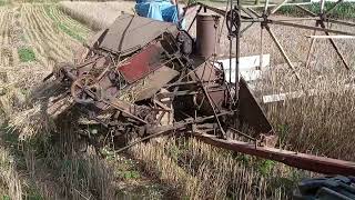 Binding and Threshing Wheat [upl. by Thierry]