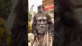 Holi khele masane mein video shortsfeed shortvideos shorts youtubeshorts mahakal kaali video [upl. by Irahs]