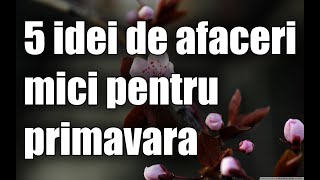 5 idei de afaceri mici pentru primavara 2021 [upl. by Nonnah]