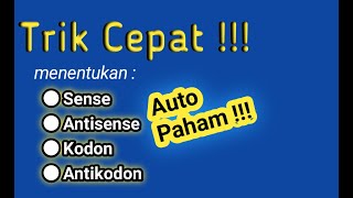 TRIK CEPAT  Menentukan sense antisense kodon antikodon [upl. by Nnahaid]