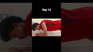 Day 14plank for 30 days for 5 min challenge shorts viralshorts day14 plankchallenge [upl. by Hayden]