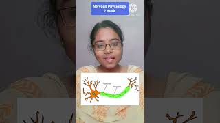 Nervous system  Saltatory Conduction in Tamil  2 mark [upl. by Doxia]