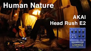 Yoshitake EXPE ’s EFX Pedalboard AKAI Head Rush E2 Looper Pedal Human Nature [upl. by Nealah907]