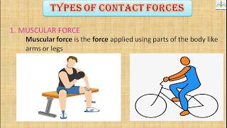 ForcePart 2  Contact force  Muscular force  Frictional force  Tension force [upl. by Lundgren]