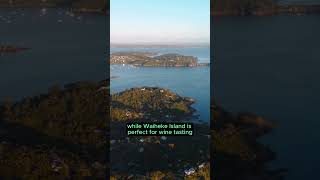 MustSee Attractions in Auckland That Will Blow Your Mind [upl. by Namsu]