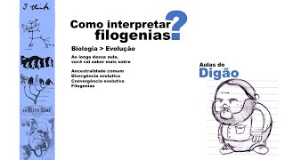 Como interpretar filogenias Árvores filogenéticas Cladogramas Evolução [upl. by Sherrod]