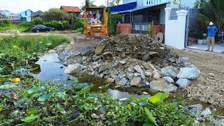 Team work repair road amp resize by old power dozer D31 with dump truck unload stone delete pond [upl. by Silirama419]