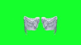 White Wings 💸 Green Screen 💯 VFX Effect Video 📸 No Copyright ©️ greenscreen vfx youtube trending [upl. by Nepil615]