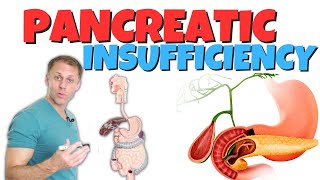 Pancreatic Insufficiency [upl. by Pontius]