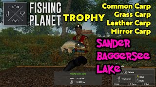 Trophy Common Carp Grass Carp Leather Carp Mirror Carp  Fishing Planet [upl. by Ranjiv]