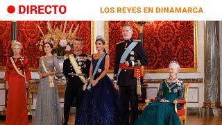 CASA REAL Los REYES en la CENA de GALA de MARGARITA de DINAMARCA  RTVE Noticias [upl. by Euqinemod]