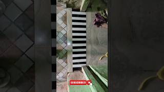 Amazing Floortiles Door Feeting shots youtubeshorts tiles by suhana construction [upl. by Wini]