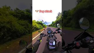 Dog Attack In Himalayan Ride 🐶 thessrider motovlog biker roadrage dogattack attack [upl. by Barny]