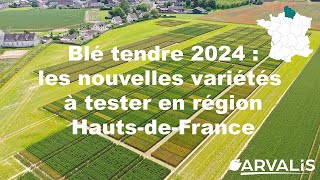 Blé tendre 2024  les nouvelles variétés à tester en région HautsdeFrance  ARVALISfr [upl. by Ydnak]