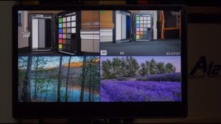 Lilliput A12 4K Monitor Review Part 1 [upl. by Atnohs620]