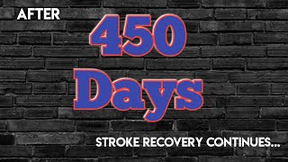 एक साल तीन महीने की रिकवरी जर्नी  I Have Completed 450 Days as a Stroke Survivor motivation [upl. by Carny225]