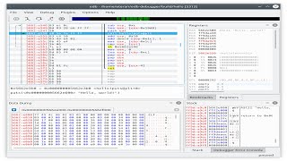 How to install edb debugger in linux and also set its environment path variable [upl. by Paschasia20]