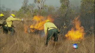 Série mostra o trabalho dos brigadistas no combate ao incêndio florestal [upl. by Merralee]