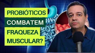 COMO OS PROBIÓTICOS PODEM PREVENIR A FRAQUEZA MUSCULAR  Dr Flávio Jambo [upl. by Nojad842]