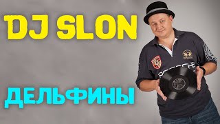 Dj Slon  Дельфины все дельфины в ураган  Аудио [upl. by Elmira830]