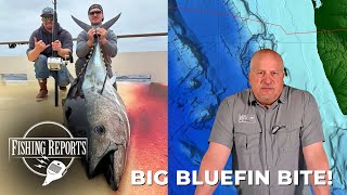 Southern California Bight FISHING REPORT 05232024 [upl. by Helmut]