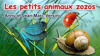 Anny Versini JeanMarc Versini  Les petits animaux zozos Clip officiel [upl. by Strait227]