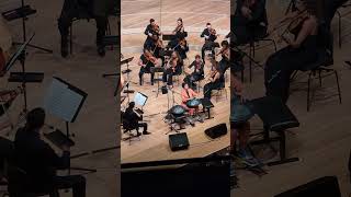 Handpan Concerto  Elbphilharmonie [upl. by Adirem]