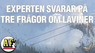 Tre frågor om laviner – experten svarar [upl. by Llibyc130]