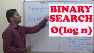 Binary Search Sorted Array  Olog n  Best EXPLAINATION Algorithm [upl. by Udall]