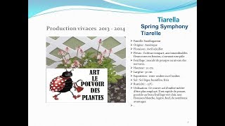 JardinageTiarella Spring symphony tiarelle plante vivace [upl. by Johnna]