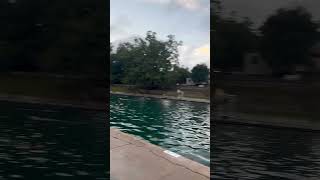 Barton springs has reopened in Austin [upl. by Devinne]